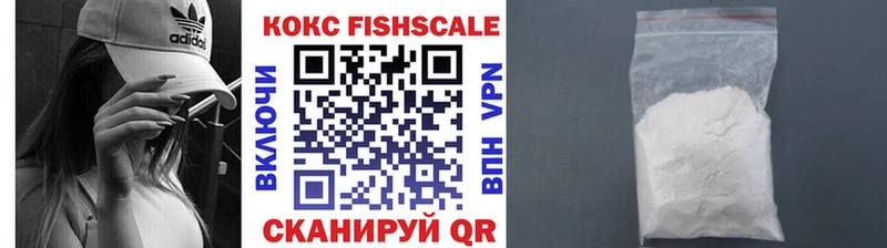 Cocaine FishScale  где можно купить   Жуков 