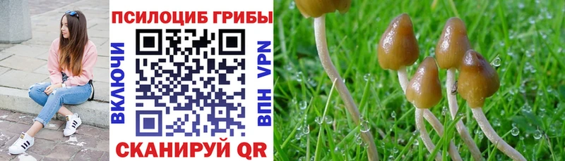 Псилоцибиновые грибы Magic Shrooms  Жуков 